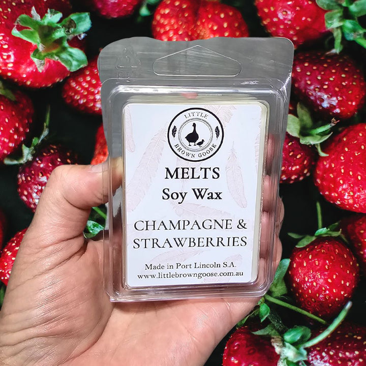 Soy Wax Clam Melts