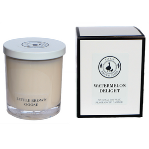 Watermelon Delight Candle | Little Brown Goose