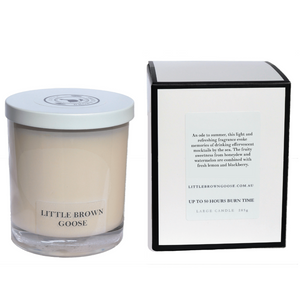 Watermelon Delight Soy Candle